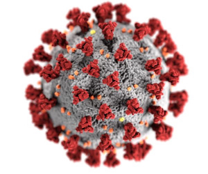 The Pandemic is Accelerating Changes to the  business of providing international TA projects